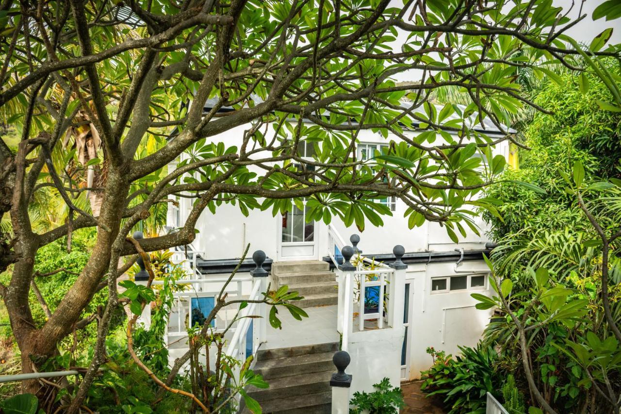 La Villa Allamanda Gravier Exteriér fotografie